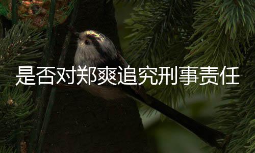 官方回应任对郑究刑是否爽追事责